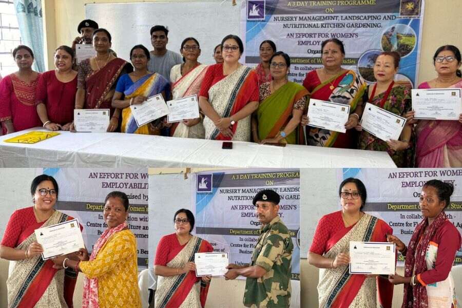 Certificates are awarded to all participants.