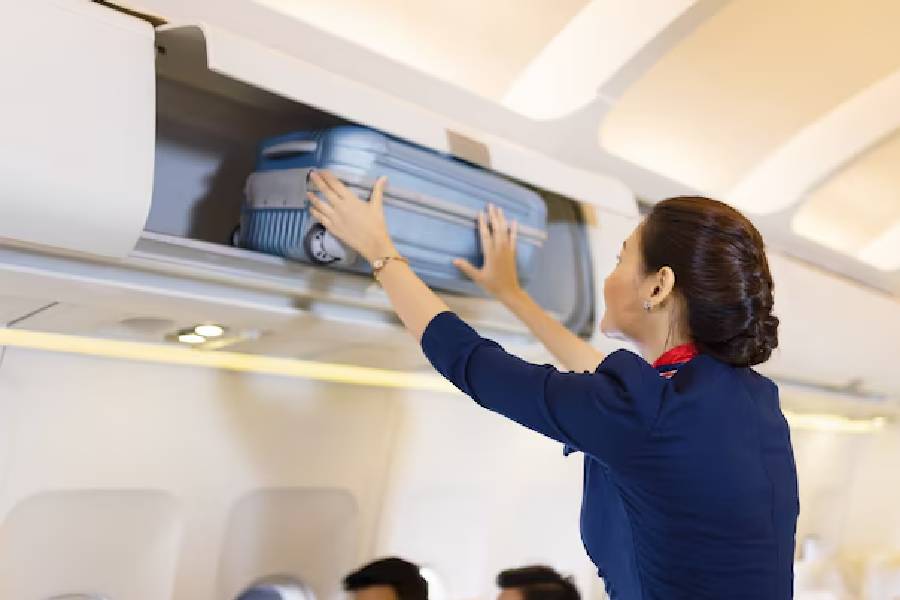 How to keep your cabin baggage safe dgtl