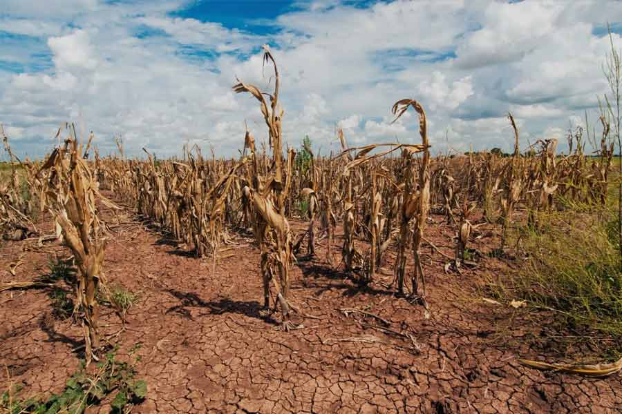 All need to know about Mysterious signal generated from Dickson Fjord that was heard across the planet