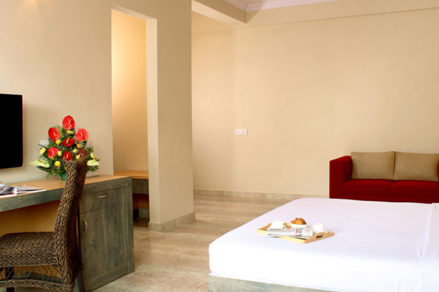 From books to charger, dress, things people have left behind hotel rooms