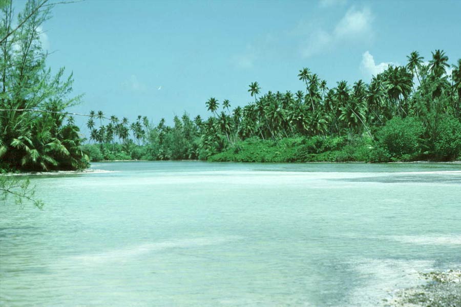 প্রতিরক্ষা বিশেষজ্ঞদের দাবি, দিয়েগো গার্সিয়ার অবস্থানের মধ্যেই লুকিয়ে রয়েছে এর কৌশলগত গুরুত্ব। ভারতের মূল ভূখণ্ড থেকে এর দূরত্ব মাত্র ১ হাজার ৮০০ কিলোমিটার। ভারত মহাসাগরীয় এলাকায় নজরদারি চালানোর জন্য এই দ্বীপকে ব্যবহার করে আমেরিকা।