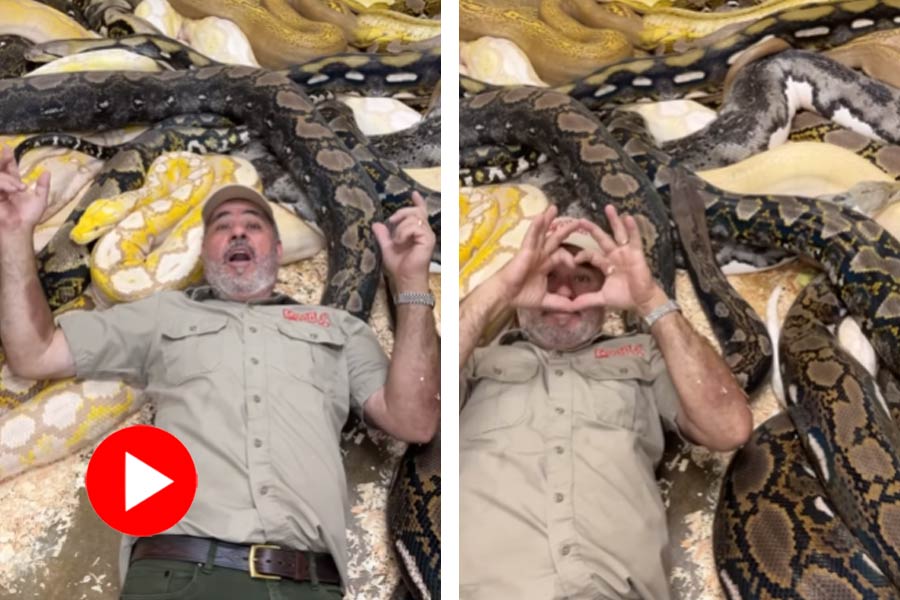 Zookeeper throws birthday party with snakes