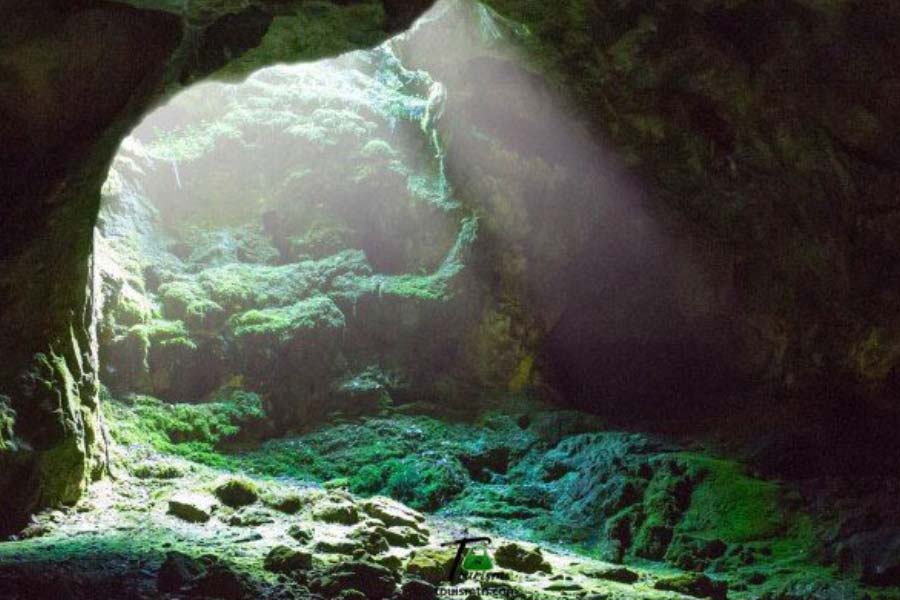 The truth behind Malayalam movie Manjummel Boys, real story of Guna Cave 