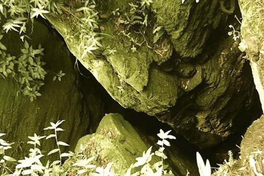 The truth behind Malayalam movie Manjummel Boys, real story of Guna Cave 