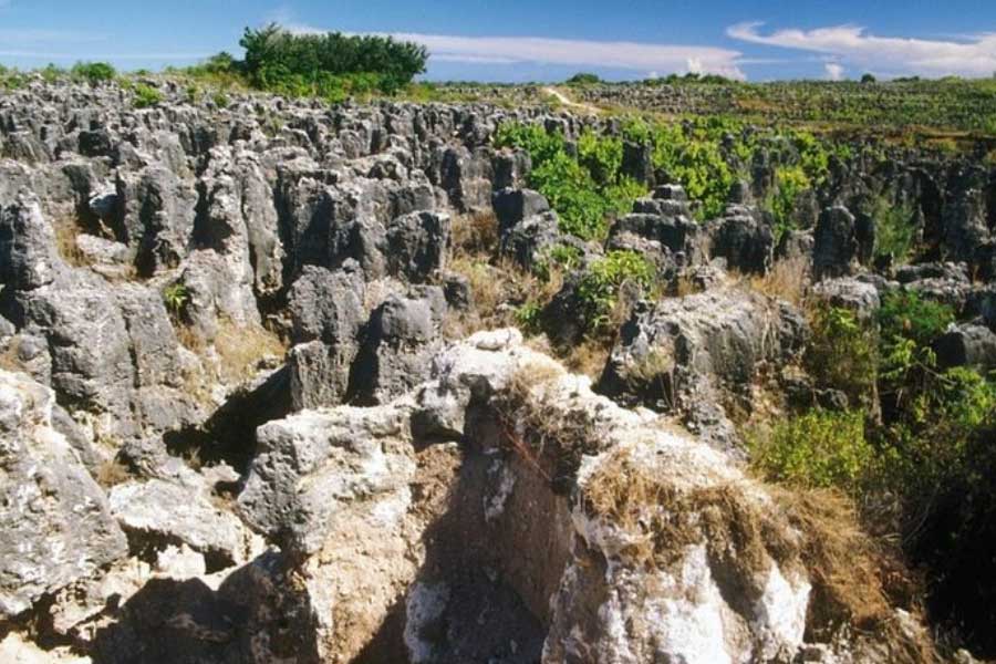 Island of Nauru became the fattest country in the world 
