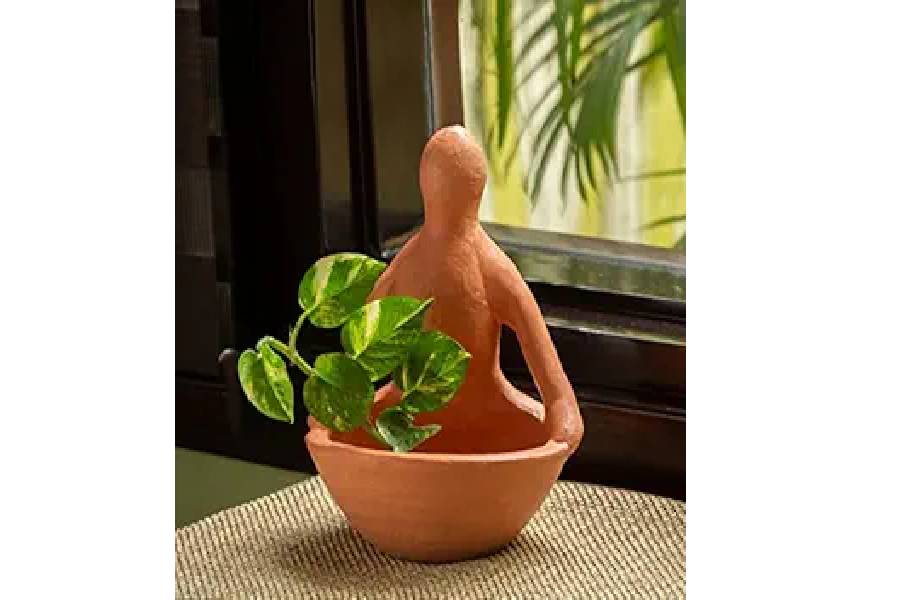 টেরাকোটার টব।