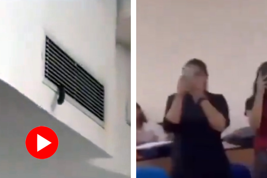 Video of snake coming out from ac duct in Noida university classroom