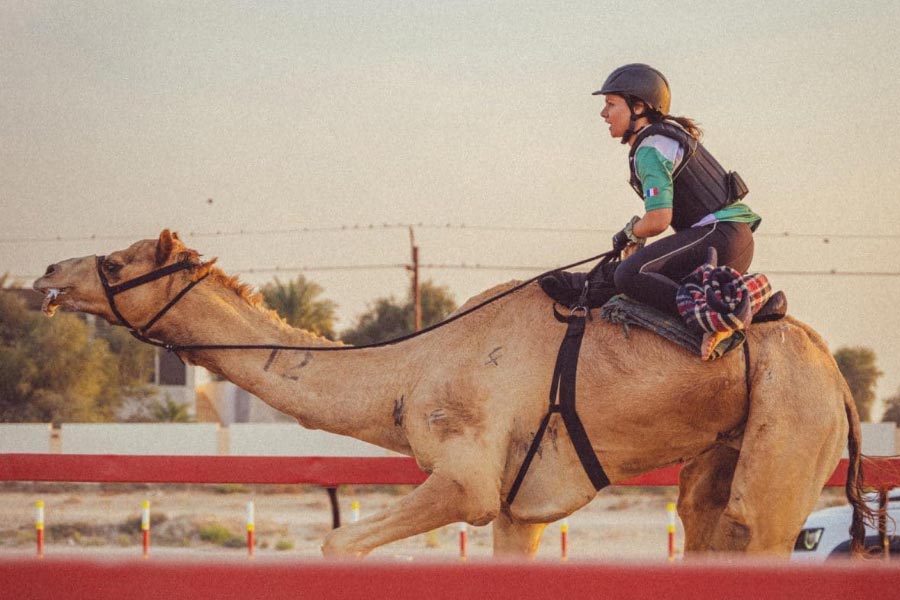 US camel jockey Taylor Dees was crowned the winner of camel race 