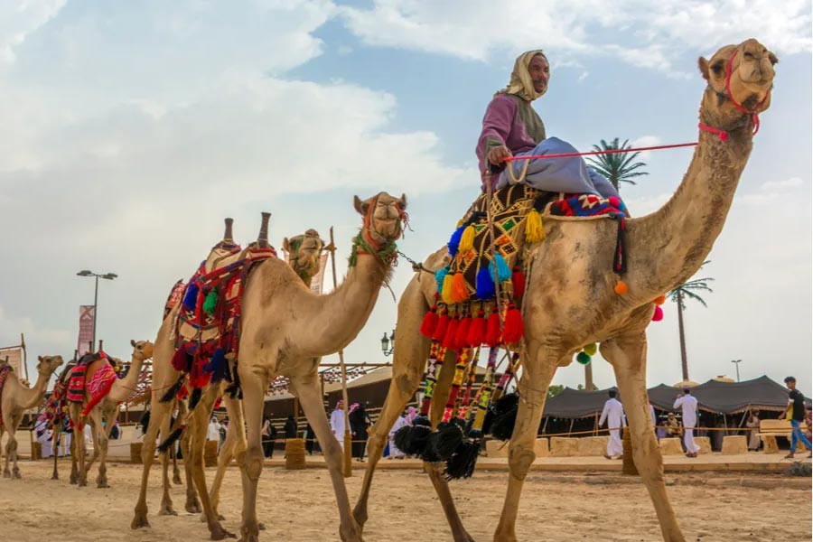 US camel jockey Taylor Dees was crowned the winner of camel race 
