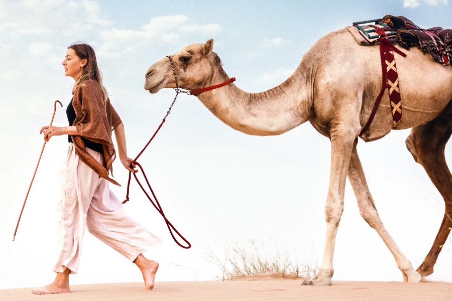 US camel jockey Taylor Dees was crowned the winner of camel race 