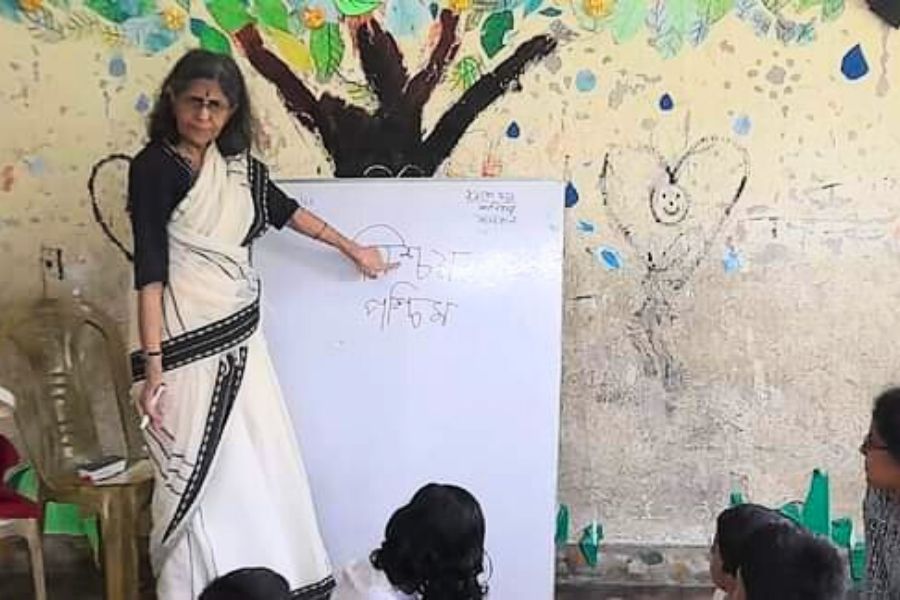 নিজস্ব চিত্র।