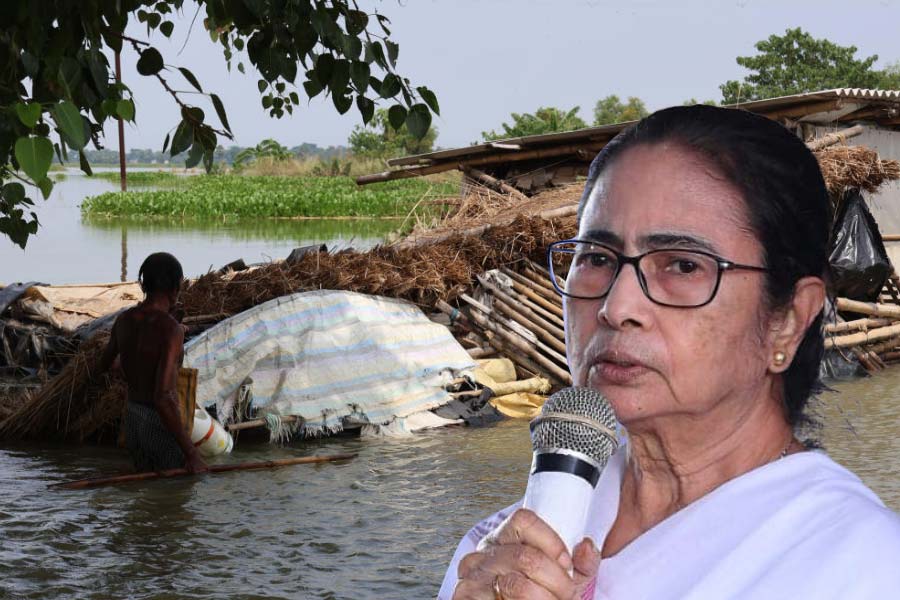 বন্যা পরিস্থিতি নিয়ে উদ্বিগ্ন মুখ্যমন্ত্রী মমতা বন্দ্যোপাধ্যায়।