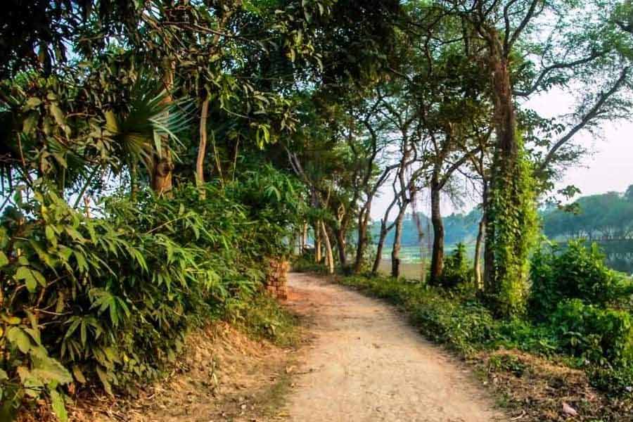 প্রকৃতির সান্নিধ্য উপভােগে ঘুরে নিন আসাননগর।