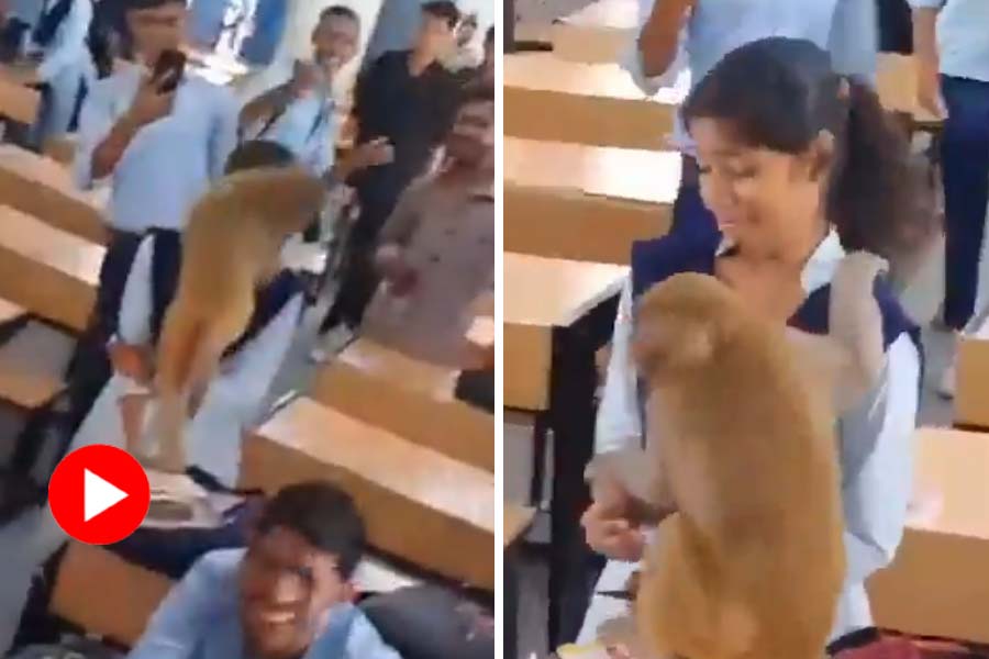 Viral Video of monkey enters classroom and roaming around