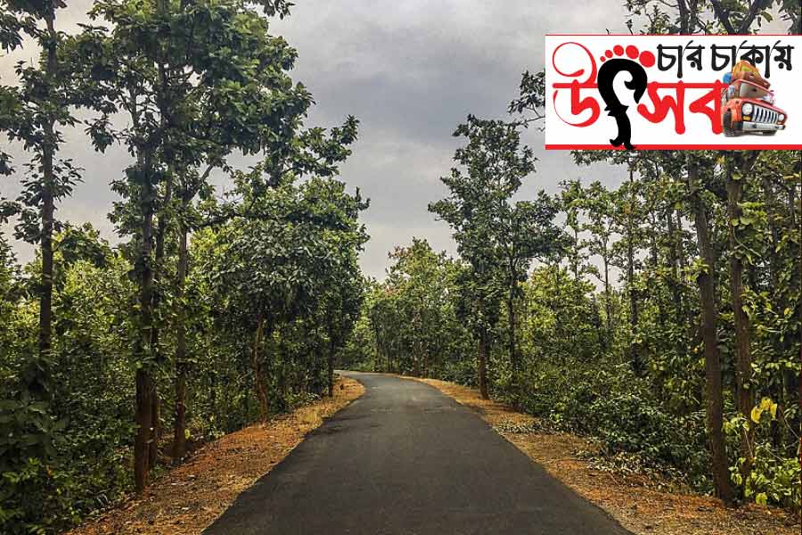 Giguripal forest a beautiful travel destination near Kolkata