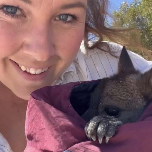 Adorable friendship of a puppy and kangaroo in Australia