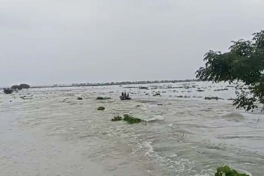 মালদহের ভুতনির চর।