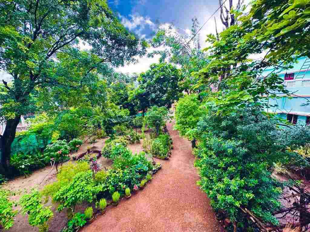 গাছপালা, সঙ্গীত, এই সবকিছুর মধ্যে যেন সন্তান বড় হয়ে উঠতে পারে; প্রকৃতির প্রতি যেন ভালবাসা, সহমর্মিতা এবং সখ্য জন্মায়— এ কথা মাথায় রেখেই সাহানার বাবা বিমল বাজপেয়ী এমনই ছায়া সুনিবিড় শান্তির নীড় বানিয়েছিলেন। গাছ ও ফুলে ঘেরা বাড়ি সকলেরই দৃষ্টি কাড়ে। তাই বাড়ির সামনে খানিক জায়গা থাকলে সেখানে আপনিও তৈরি করে নিতে পার সাধের বাগান।  