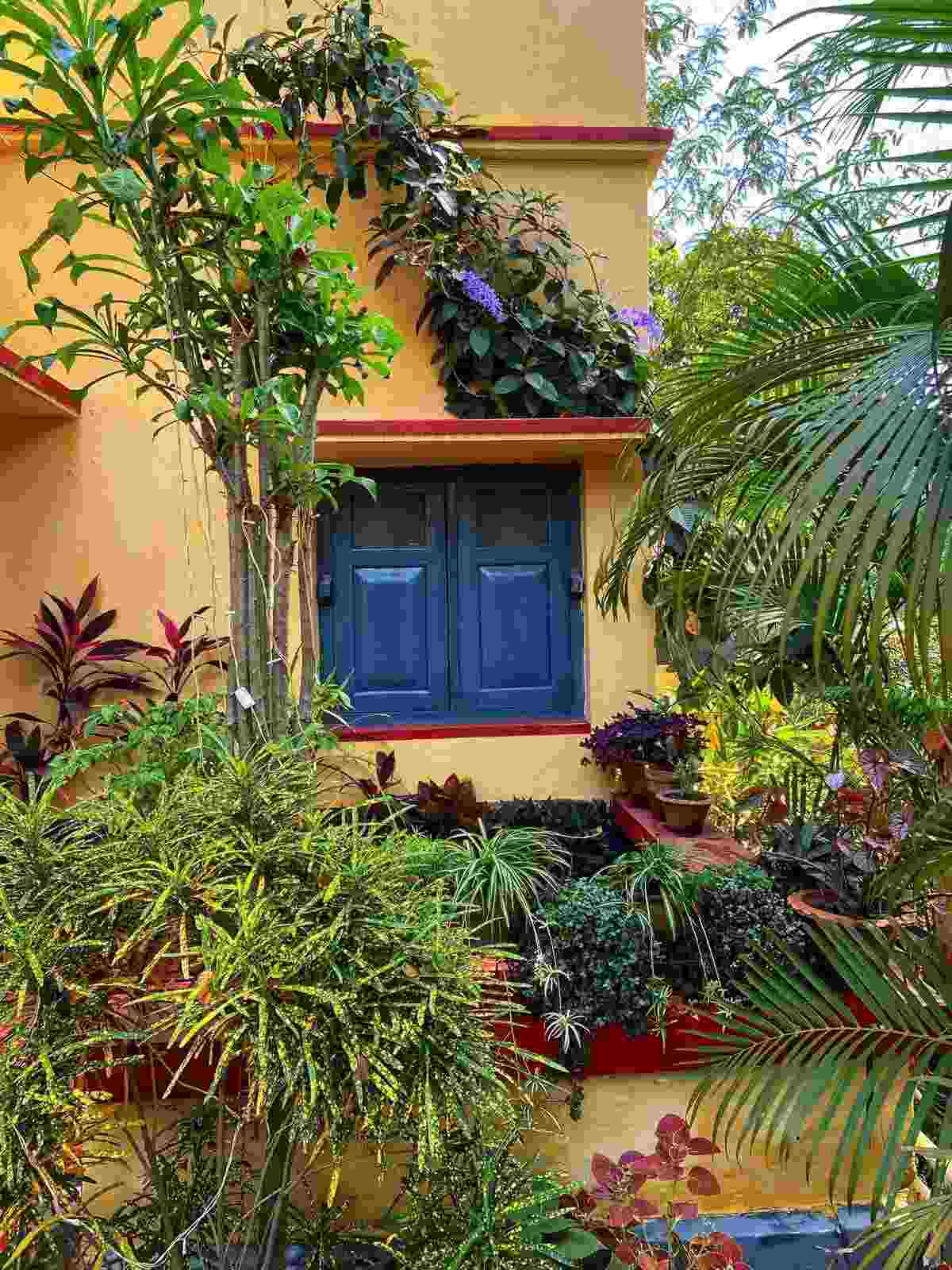 গাছ বা ফুল ভাল লাগলে, বাগানের পরিচর্যা হয়ে উঠতে পারে আপনার অবসরসময়ের সঙ্গী। 