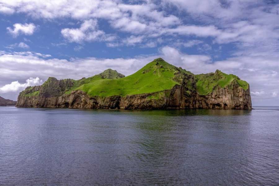 Mystery of Surtsey the volcanic island and the suspicious plant 