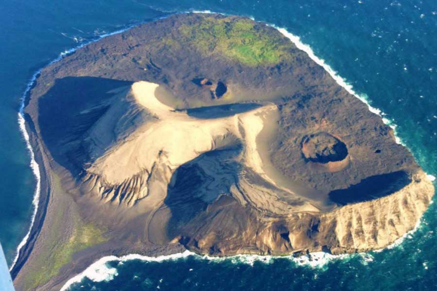 Mystery of Surtsey the volcanic island and the suspicious plant 