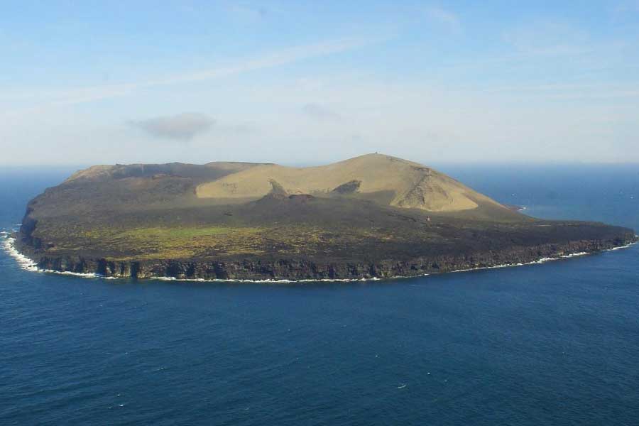 Mystery of Surtsey the volcanic island and the suspicious plant 