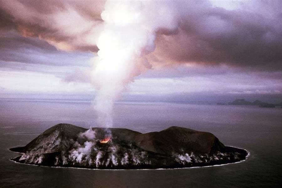 Mystery of Surtsey the volcanic island and the suspicious plant 