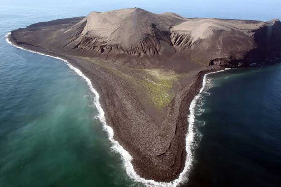 Mystery of Surtsey the volcanic island and the suspicious plant 