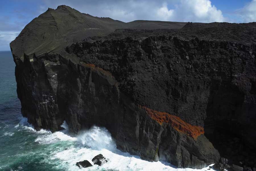 Mystery of Surtsey the volcanic island and the suspicious plant 