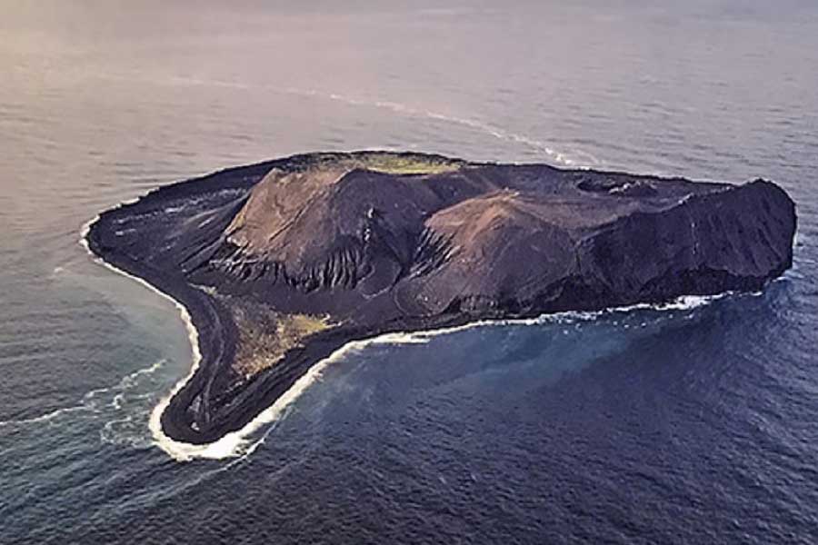 Mystery of Surtsey the volcanic island and the suspicious plant 