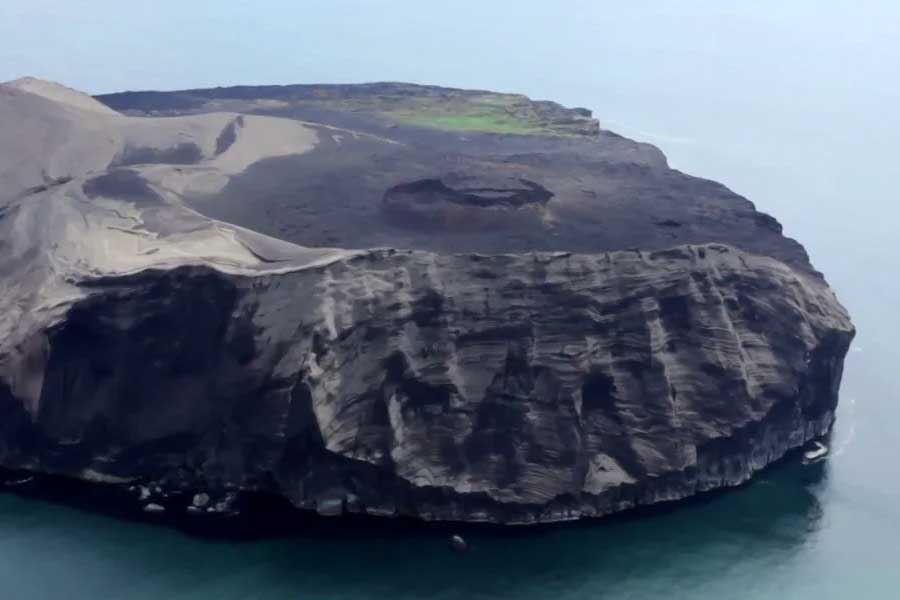 Mystery of Surtsey the volcanic island and the suspicious plant 