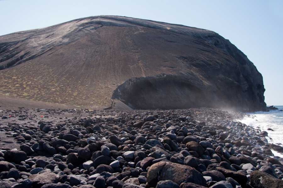 Mystery of Surtsey the volcanic island and the suspicious plant 