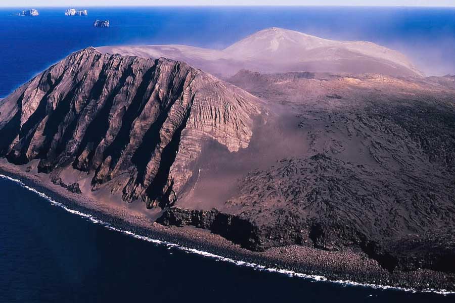 Mystery of Surtsey the volcanic island and the suspicious plant 