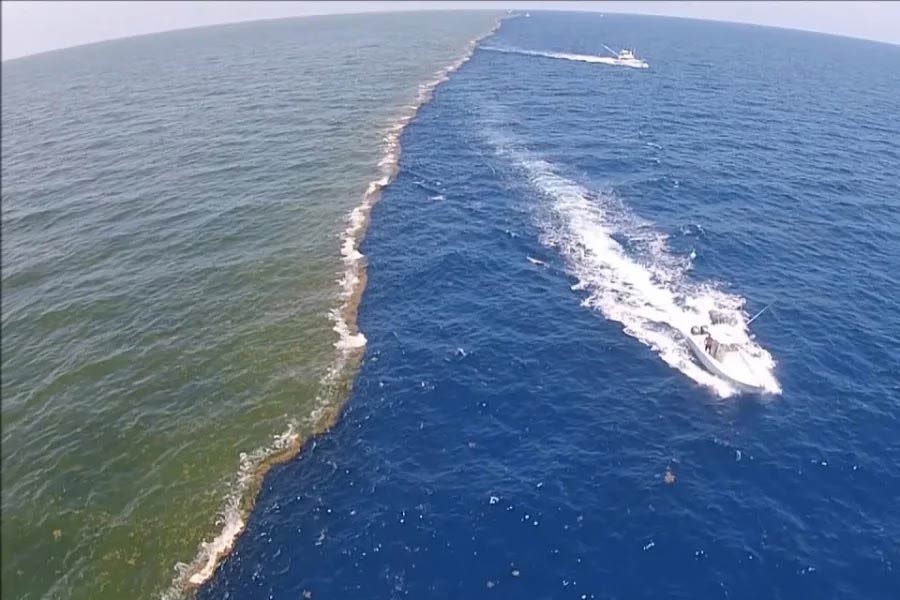 Japanese incoming Prime Minister Shigeru Ishiba demands Asian NATO know the details 