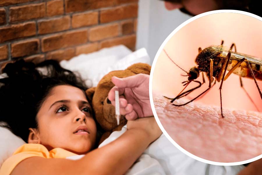 Rise in dengue fever after monsoon rains, essential precautions you must follow