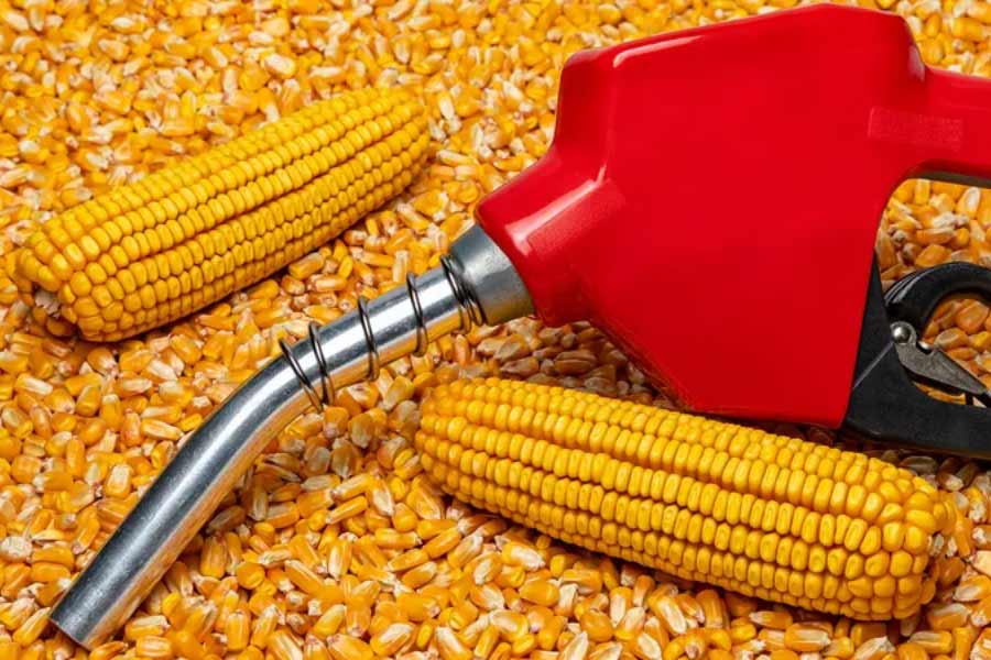 India secret bio fuel know the details 