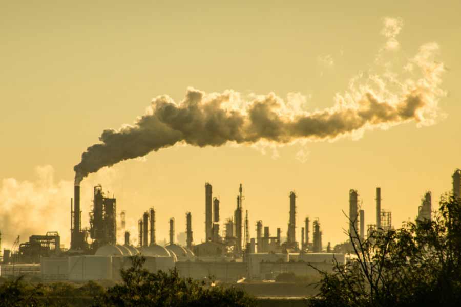 India secret bio fuel know the details 