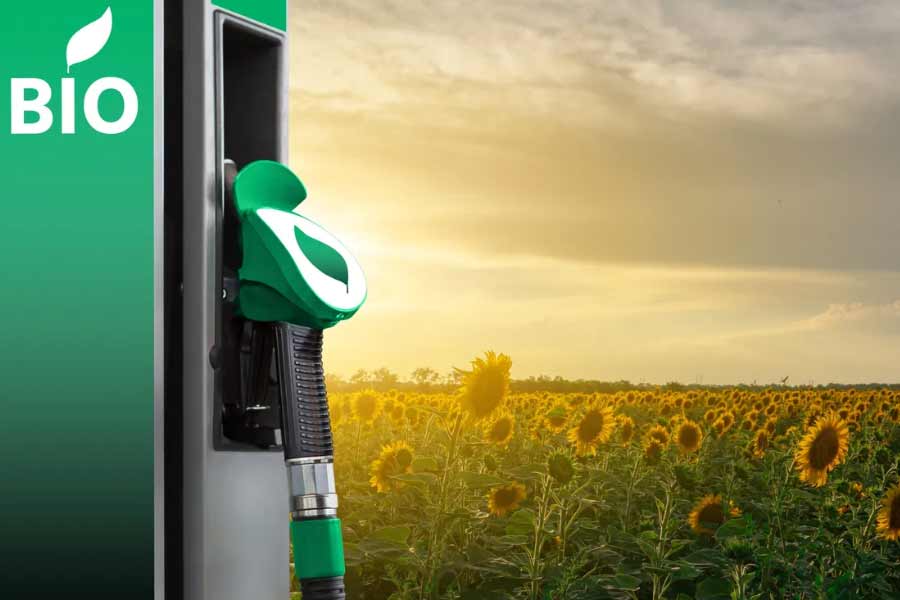 India secret bio fuel know the details 