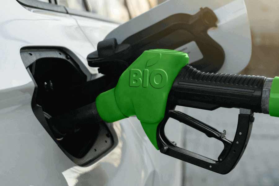 India secret bio fuel know the details 