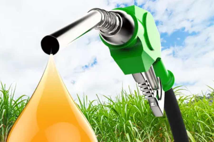 India secret bio fuel know the details 