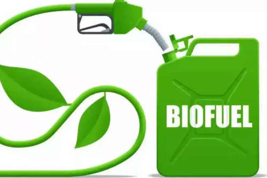 India secret bio fuel know the details 