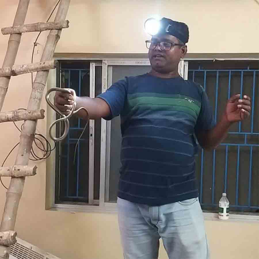 উদ্বার সাপ।