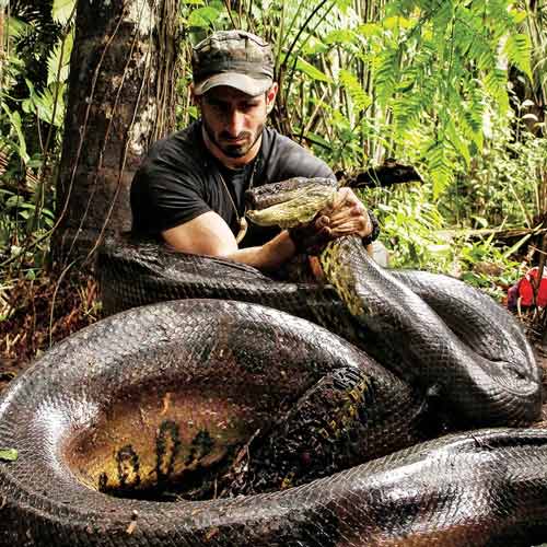 Man eater snake