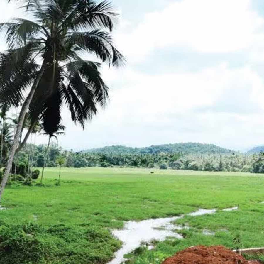 Kerala is poor though people are rich, know the reasons