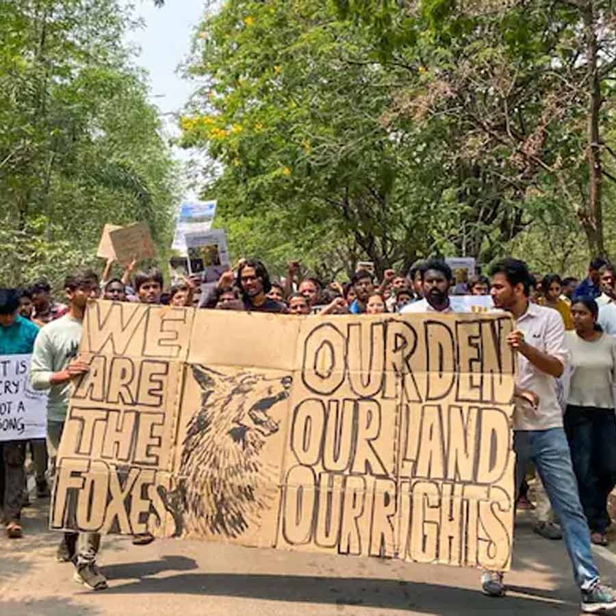 বৃহস্পতিবার আদালত গাছ কাটার উপর অন্তর্বর্তিকালীন স্থগিতাদেশের আদেশ দেয় এবং তেলঙ্গানা হাই কোর্টের রেজিস্ট্রারকে (বিচার বিভাগ) ঘটনাস্থল পরিদর্শন করে রিপোর্ট পেশ করতে বলে। আদালতের রায়ে কিছুটা হলেও স্বস্তি ফিরেছে বিক্ষোভকারী পড়ুয়া ও পরিবেশ রক্ষা আন্দোলনের সঙ্গে জড়িতদের।