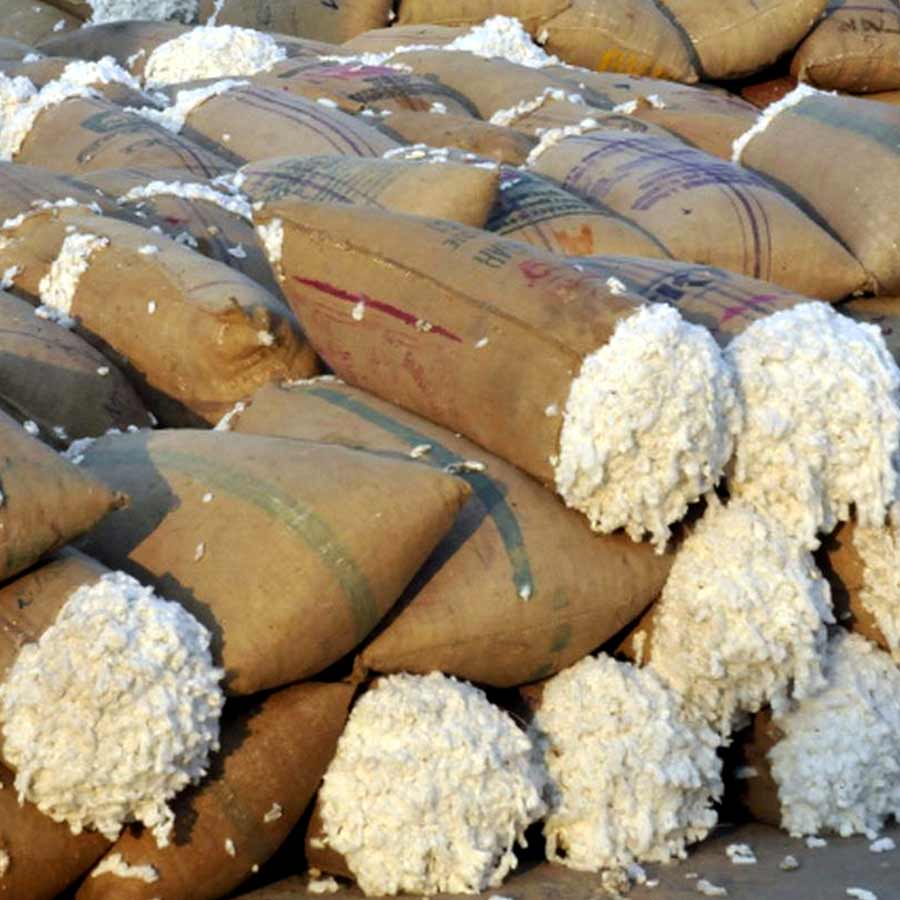 What India export to Pakistan and China 