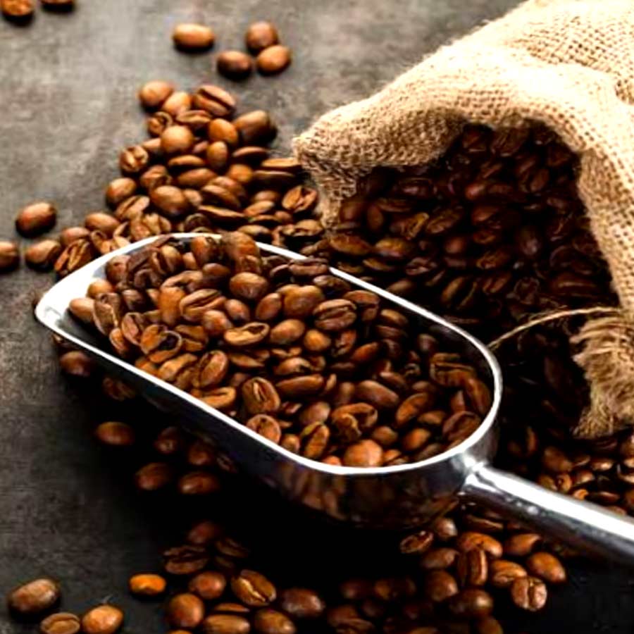 What India export to Pakistan and China 