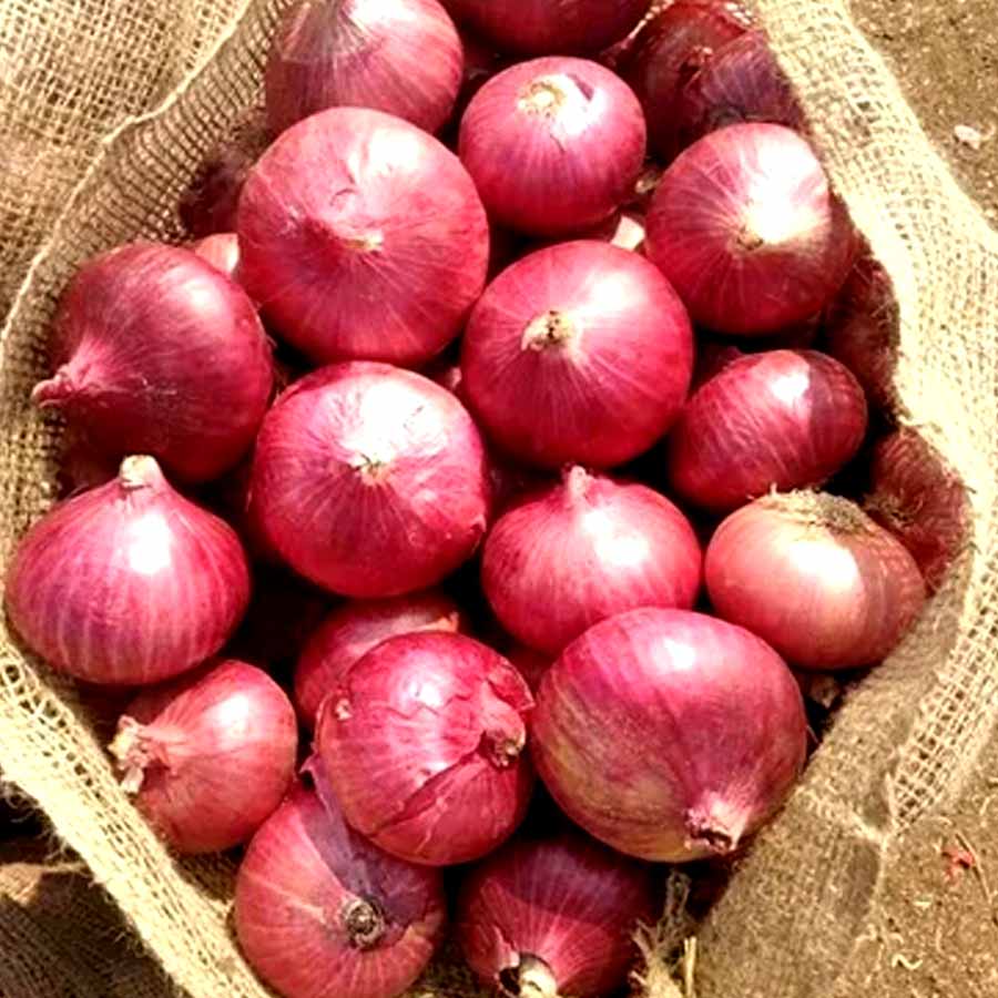 What India export to Pakistan and China 