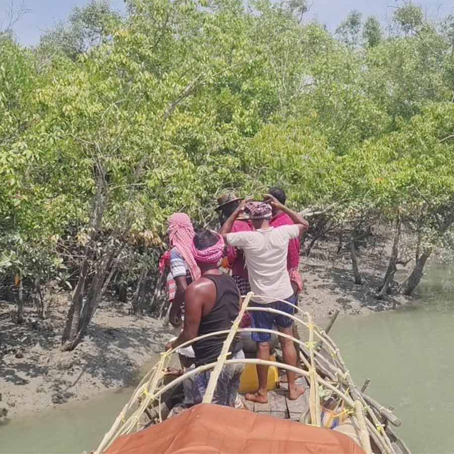জঙ্গলের পথে মউলেরা।
