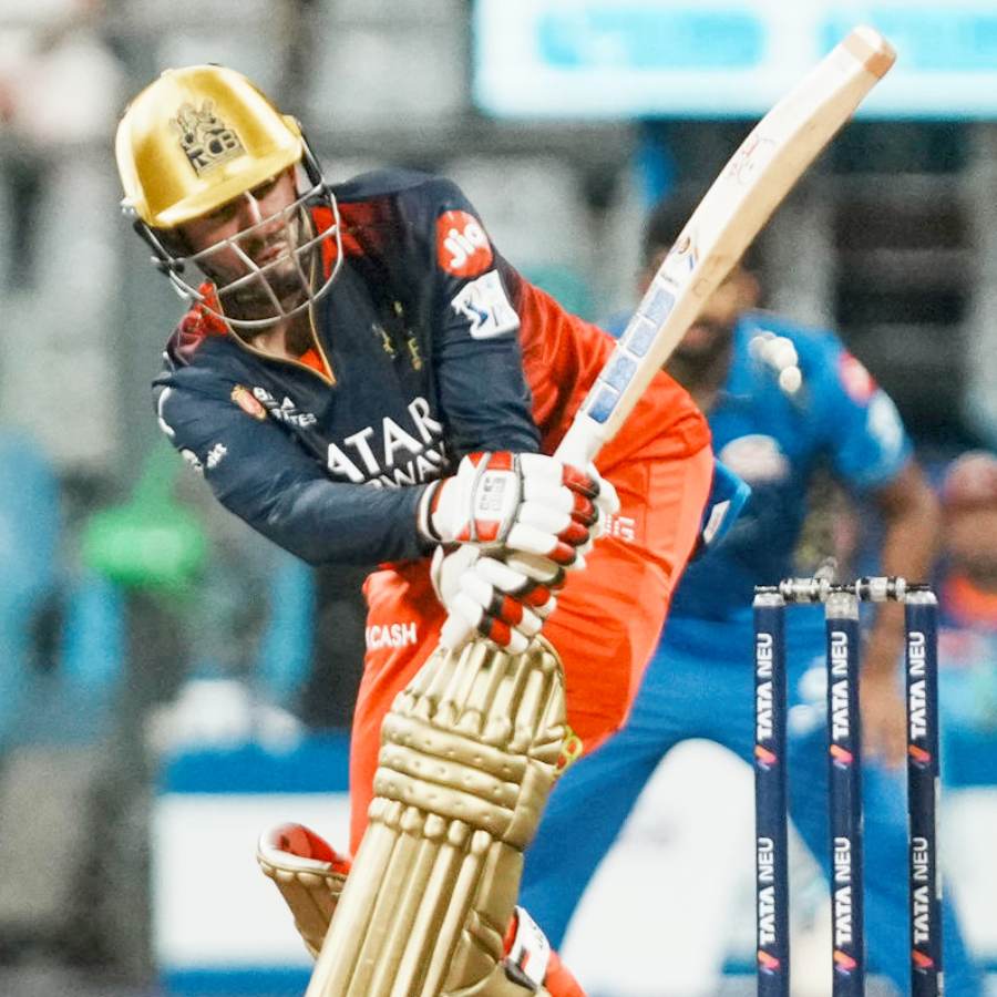 cricket